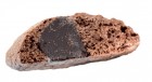 Cantuccio con cioccolato a grossi pezzi-Lose Ware