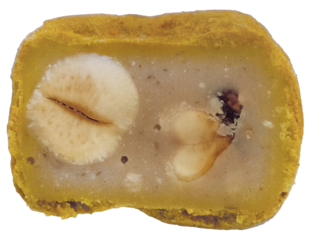 Tartufo Curcuma