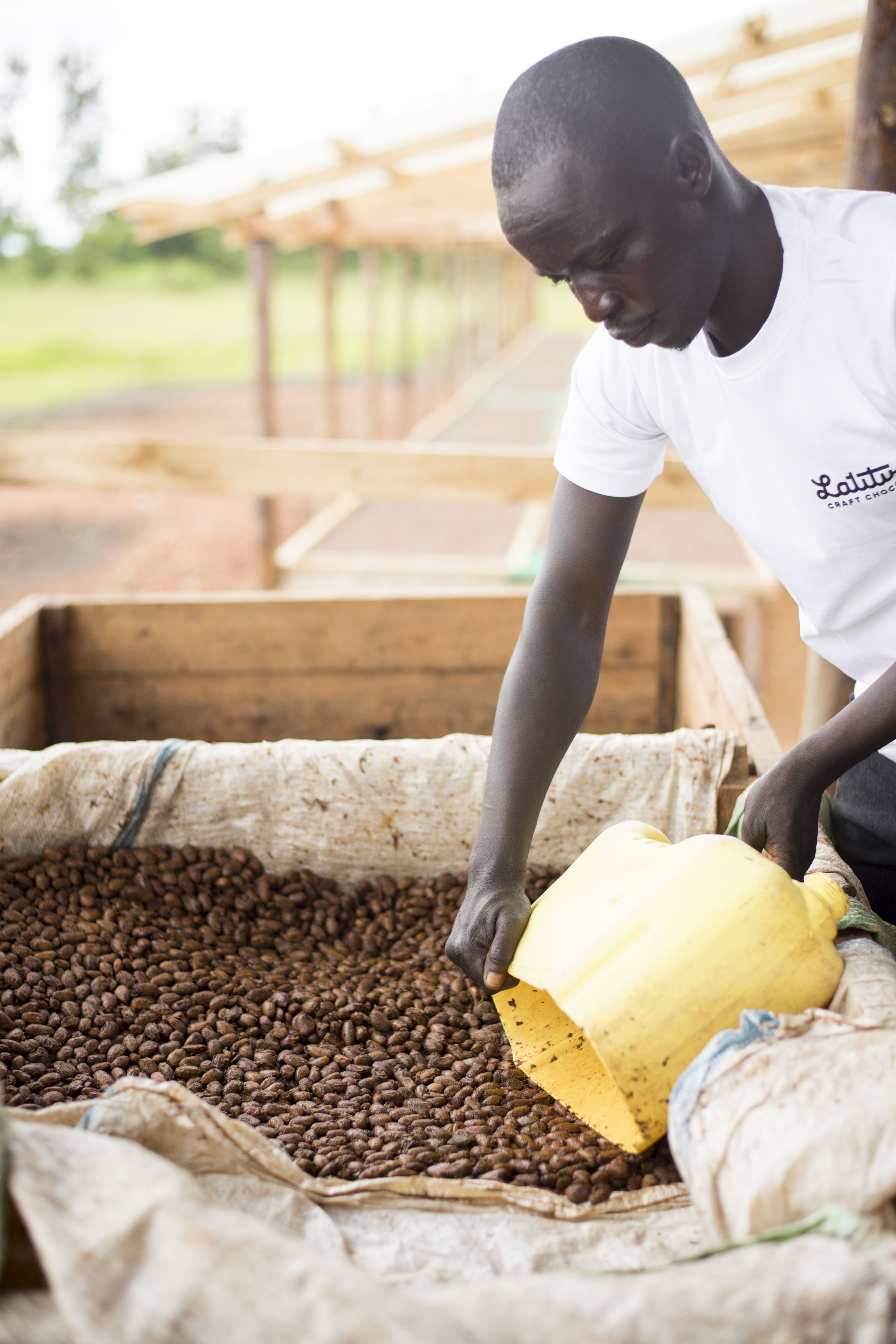 Semuliki Forest Uganda 70 %