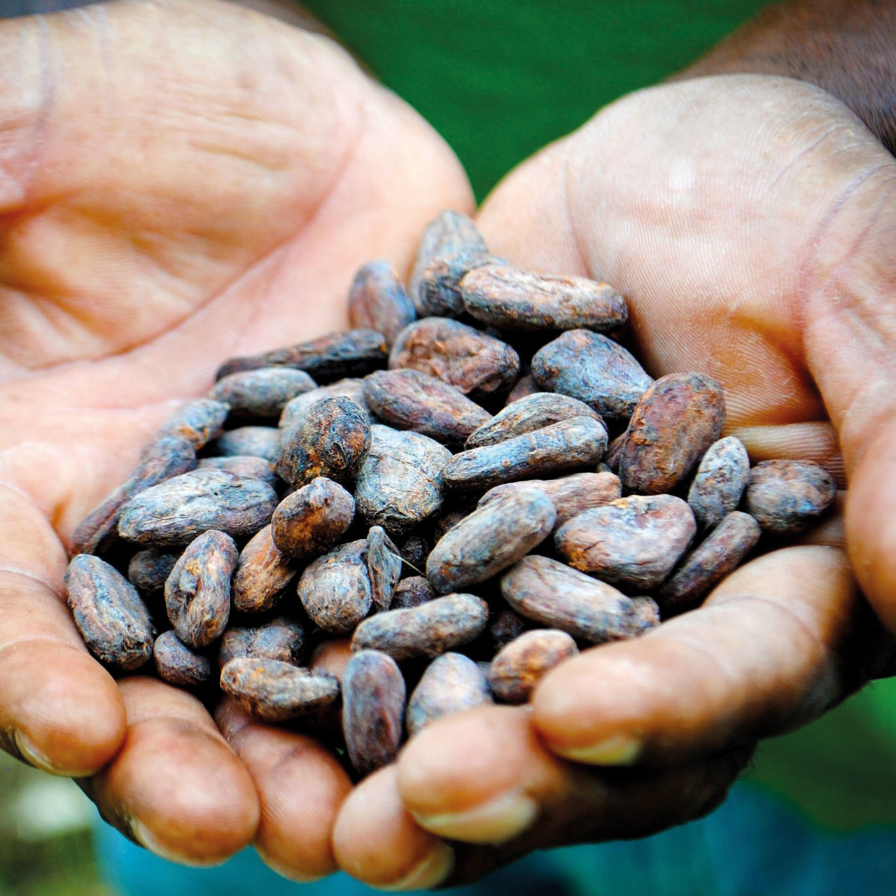 Lachuá Guatemala 70 %
